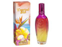 REAL TIME Tropical Sun Eau de Parfum 100ml - Envy De Live